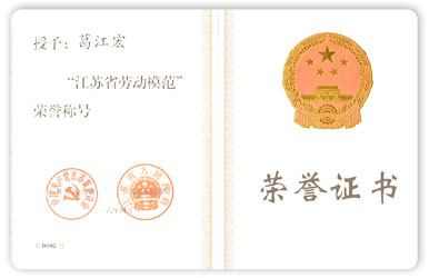 江蘇省勞動(dòng)模范 榮譽(yù)證書葛江宏